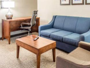 Comfort Suites Near Potomac Mills - Woodbridge - 4