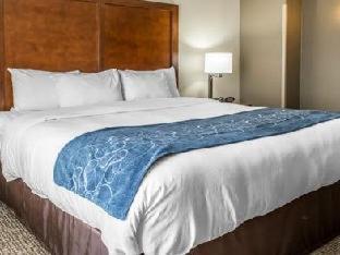 Comfort Suites Near Potomac Mills - Woodbridge - 1