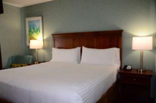 Baymont Inn & Suites Braselton - Braselton - 8