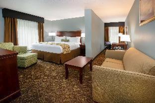 Baymont Inn & Suites Braselton - Braselton - 7