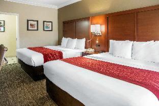 Comfort Inn & Suites San Francisco Airport North - 6