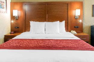 Comfort Inn & Suites San Francisco Airport North - 5