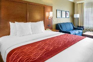 Comfort Inn & Suites San Francisco Airport North - 4
