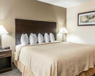 Quality Inn & Suites Mattoon South - Mattoon - 8