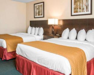 Quality Inn & Suites Escanaba North - Escanaba - 4