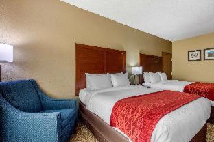 Comfort Inn & Suites - 6