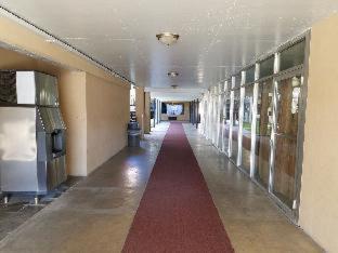Days Inn by Wyndham Leesville - Leesville - 7