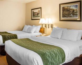 Quality Inn Petoskey-Harbor Springs - 9