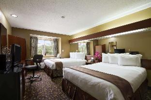 Microtel Inn & Suites by Wyndham Lithonia/Stone Mountain - 8