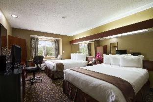 Microtel Inn & Suites by Wyndham Lithonia/Stone Mountain - Lithonia - 7