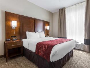 Comfort Suites Salisbury I-85 - 4