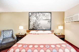 Super 8 by Wyndham Jackson MN - Jackson - 6
