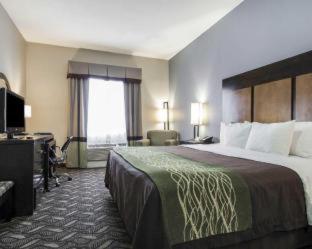 Comfort Inn & Suites El Paso I-10 Airport Area - El Paso - 7