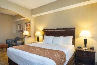 Comfort Suites Beachside - South Padre Island - 9