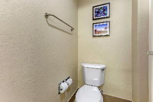Comfort Inn & Suites Surprise Near Sun City West - 4