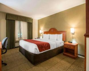 Comfort Suites Fort Pierce I-95 - 9