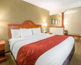 Comfort Suites Fort Pierce I-95 - 8