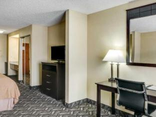 Quality Suites Baton Rouge East - Denham Springs - Baton Rouge - 4