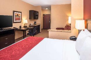 Comfort Suites Ontario Airport Convention Center - 7