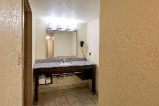Clarion Hotel Detroit Metro Airport - 8