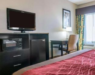 Comfort Inn & Suites Maumee - Toledo I80-90 - Maumee - 9