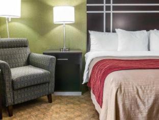 Comfort Inn & Suites Maumee - Toledo I80-90 - Maumee - 4