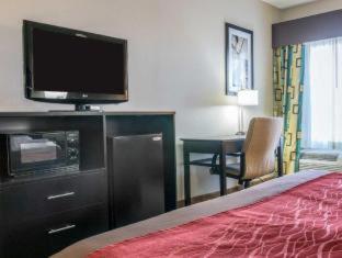 Comfort Inn & Suites Maumee - Toledo I80-90 - Maumee - 1