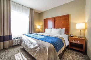 Comfort Inn & Suites - 3