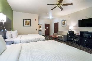 Clarion Inn & Suites Weatherford South - 9