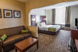 Comfort Suites - Castle Rock - 7