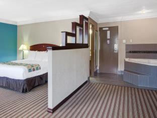 Ramada by Wyndham Houston Intercontinental Airport South - 7