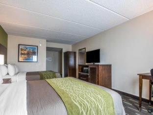 Comfort Inn Chula Vista San Diego South - 7