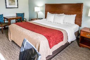 Comfort Inn - Schererville - 7