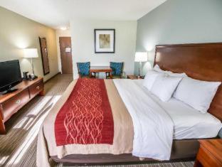 Comfort Inn - Schererville - 5