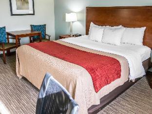 Comfort Inn - Schererville - 4
