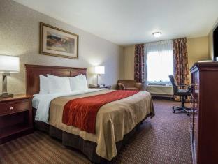 Comfort Inn Kennewick Richland - 2
