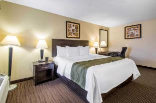 Quality Inn Daytona Speedway - I-95 - Daytona Beach - 2