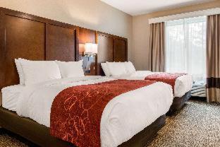 Comfort Suites Columbus Airport - 2