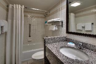 Sonesta Essential Houston Hobby Airport - Houston - 7