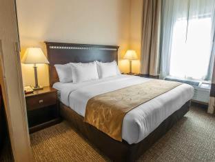 Comfort Suites Speedway - Kansas City - 4