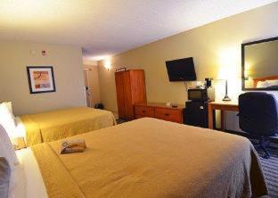 Quality Inn & Suites NRG Park - Medical Center - Houston - 4