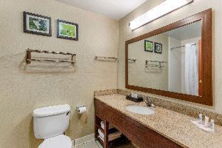 Comfort Suites Southaven I-55 - 8