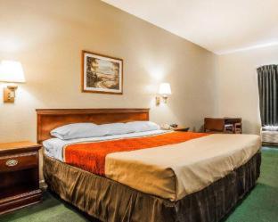 Econo Lodge Inn & Suites - Granite City - 7