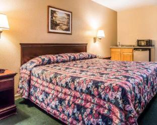 Econo Lodge Inn & Suites - Granite City - 5