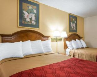 Econo Lodge Inn & Suites Macon West - Macon - 7