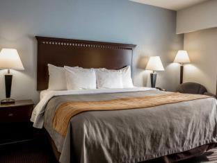 Comfort Inn & Suites Lumberton Central I-95 - Lumberton - 9