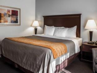 Comfort Inn & Suites Lumberton Central I-95 - Lumberton - 8