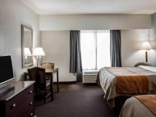 Comfort Inn & Suites Lumberton Central I-95 - Lumberton - 6