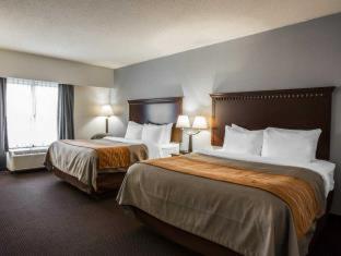 Comfort Inn & Suites Lumberton Central I-95 - Lumberton - 3