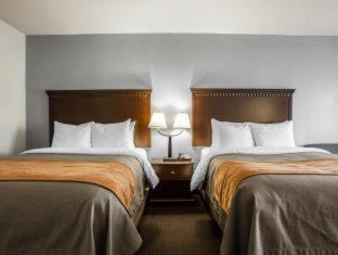 Comfort Inn & Suites Lumberton Central I-95 - Lumberton - 1